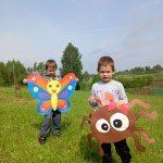 motyl11
