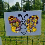 motyl14